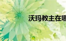 沃玛教主在哪（沃玛教主）
