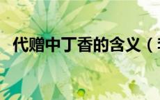 代赠中丁香的含义（李商隐代赠中的丁香）