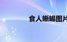 食人蜥蜴图片（食人蜥蜴）