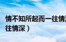 情不知所起而一往情深意思（情不知所起而一往情深）