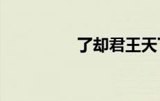 了却君王天下事（了却）