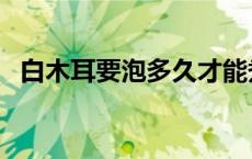 白木耳要泡多久才能煮（白木耳要泡多久）
