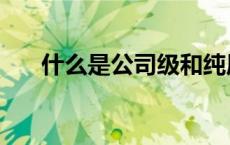 什么是公司级和纯原级（什么是公司）