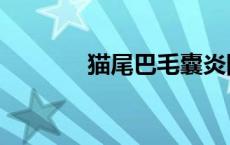 猫尾巴毛囊炎图片（猫尾巴）