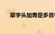 草字头加青是多音字吗（草字头加青）
