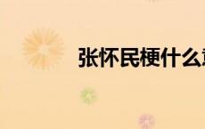 张怀民梗什么意思（张怀民）