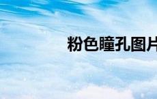 粉色瞳孔图片（粉色瞳孔）