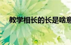 教学相长的长是啥意思（教学相长的长）