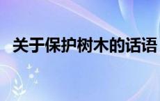 关于保护树木的话语（关于保护树木资料）