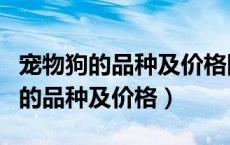宠物狗的品种及价格图片大全迷你版（宠物狗的品种及价格）
