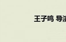王子鸣 导演（王子鸣）