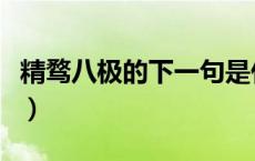 精骛八极的下一句是什么（精骛八极是啥意思）