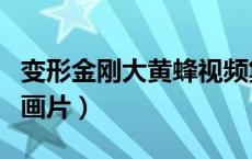 变形金刚大黄蜂视频集锦（变形金刚大黄蜂动画片）