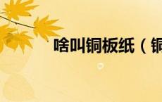 啥叫铜板纸（铜板纸是什么纸）