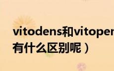 vitodens和vitopend区别（vice和deputy有什么区别呢）