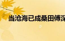 当沧海已成桑田傅深（当沧海已成桑田）