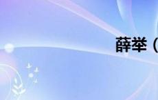 薛举（薛举）