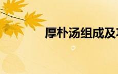 厚朴汤组成及功用（厚朴汤）