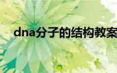 dna分子的结构教案（DNA分子的结构）