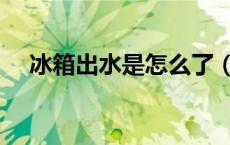 冰箱出水是怎么了（冰箱出水什么原因）