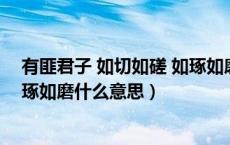 有匪君子 如切如磋 如琢如磨怎么读（有匪君子如切如磋如琢如磨什么意思）
