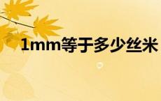 1mm等于多少丝米（1mm等于多少丝）
