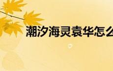 潮汐海灵袁华怎么回事（潮汐海灵）