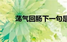 荡气回肠下一句是什么（荡气回肠）