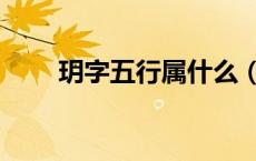 玥字五行属什么（子字五行属什么）