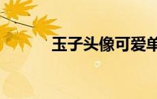 玉子头像可爱单人（玉子头像）