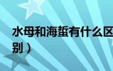 水母和海蜇有什么区别?（水母与海蜇有何区别）