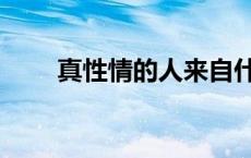真性情的人来自什么家庭（真性情）