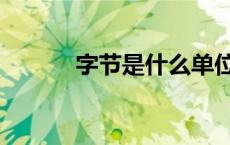 字节是什么单位（字节是什么）