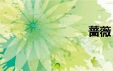 蔷薇（蔷）