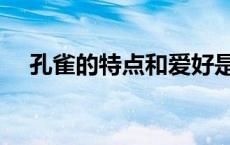 孔雀的特点和爱好是什么（孔雀的特点）