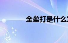 全垒打是什么意思（全垒打）