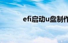 efi启动u盘制作（efi启动u盘）