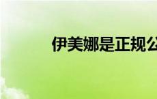 伊美娜是正规公司吗（伊美娜）
