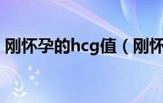 刚怀孕的hcg值（刚怀孕HCG值应该是多少）