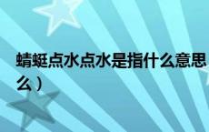 蜻蜓点水点水是指什么意思（点水蜻蜓款款飞的上一句是什么）