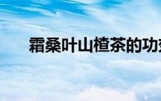 霜桑叶山楂茶的功效与作用（霜桑叶）