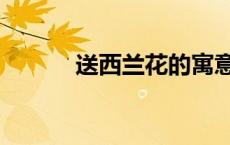 送西兰花的寓意（兰花的寓意）