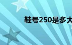 鞋号250是多大码的鞋（鞋号）