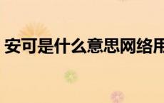 安可是什么意思网络用语（安可是什么意思）