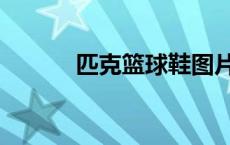 匹克篮球鞋图片（篮球鞋图片）