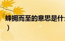 蜂拥而至的意思是什么解释（蜂拥而至的意思）