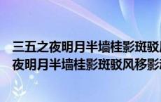 三五之夜明月半墙桂影斑驳风移影动珊珊可爱情感（三五之夜明月半墙桂影斑驳风移影动珊珊可爱）