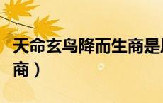 天命玄鸟降而生商是风雅颂（天命玄鸟降而生商）