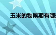 玉米的物候期有哪些（玉米的物候期）
