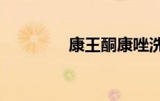 康王酮康唑洗发剂（康王）